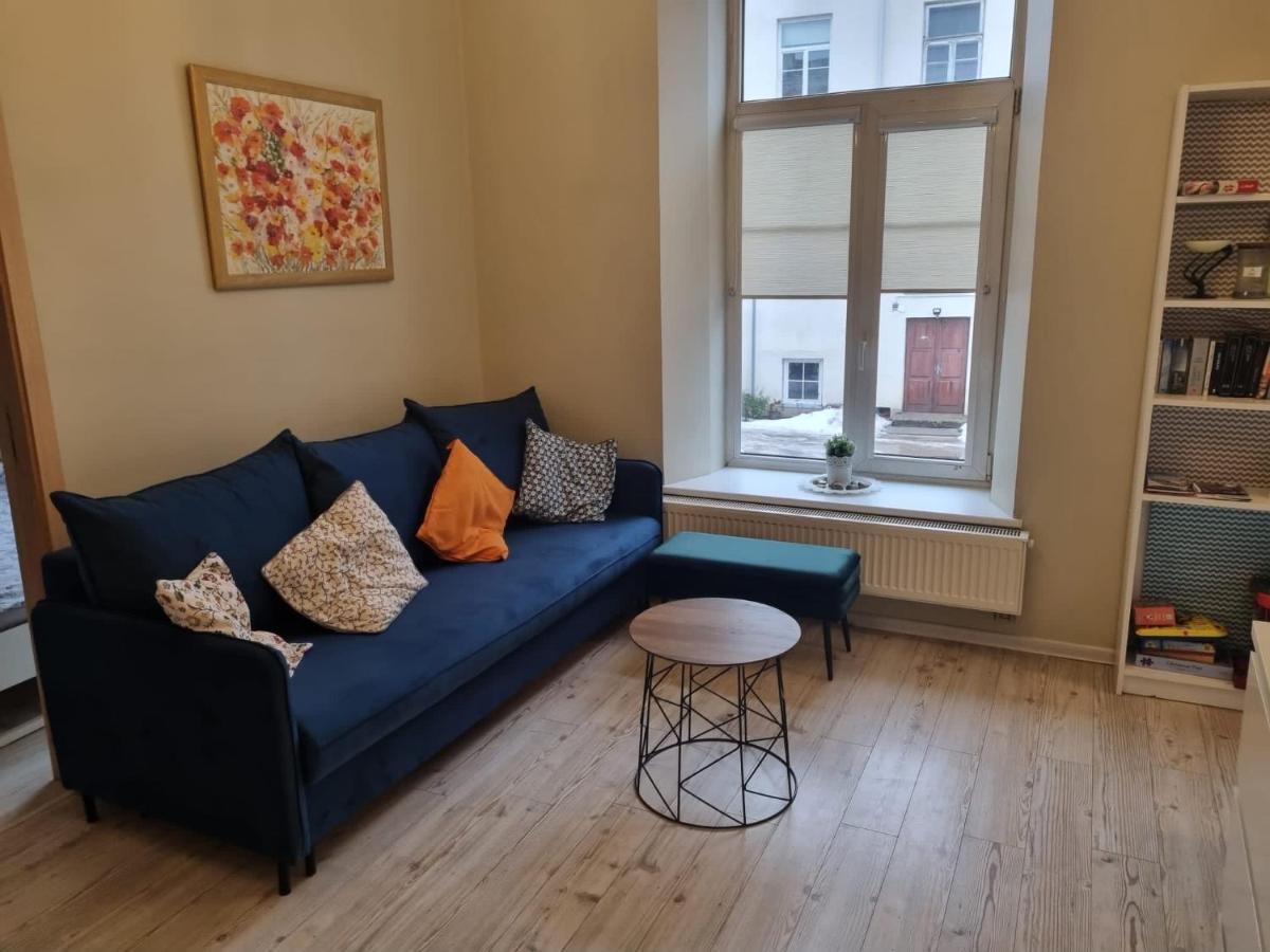 Igo Apartment Uzupis Аеропорт Вільнюс Екстер'єр фото