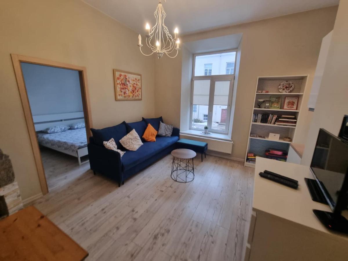 Igo Apartment Uzupis Аеропорт Вільнюс Екстер'єр фото