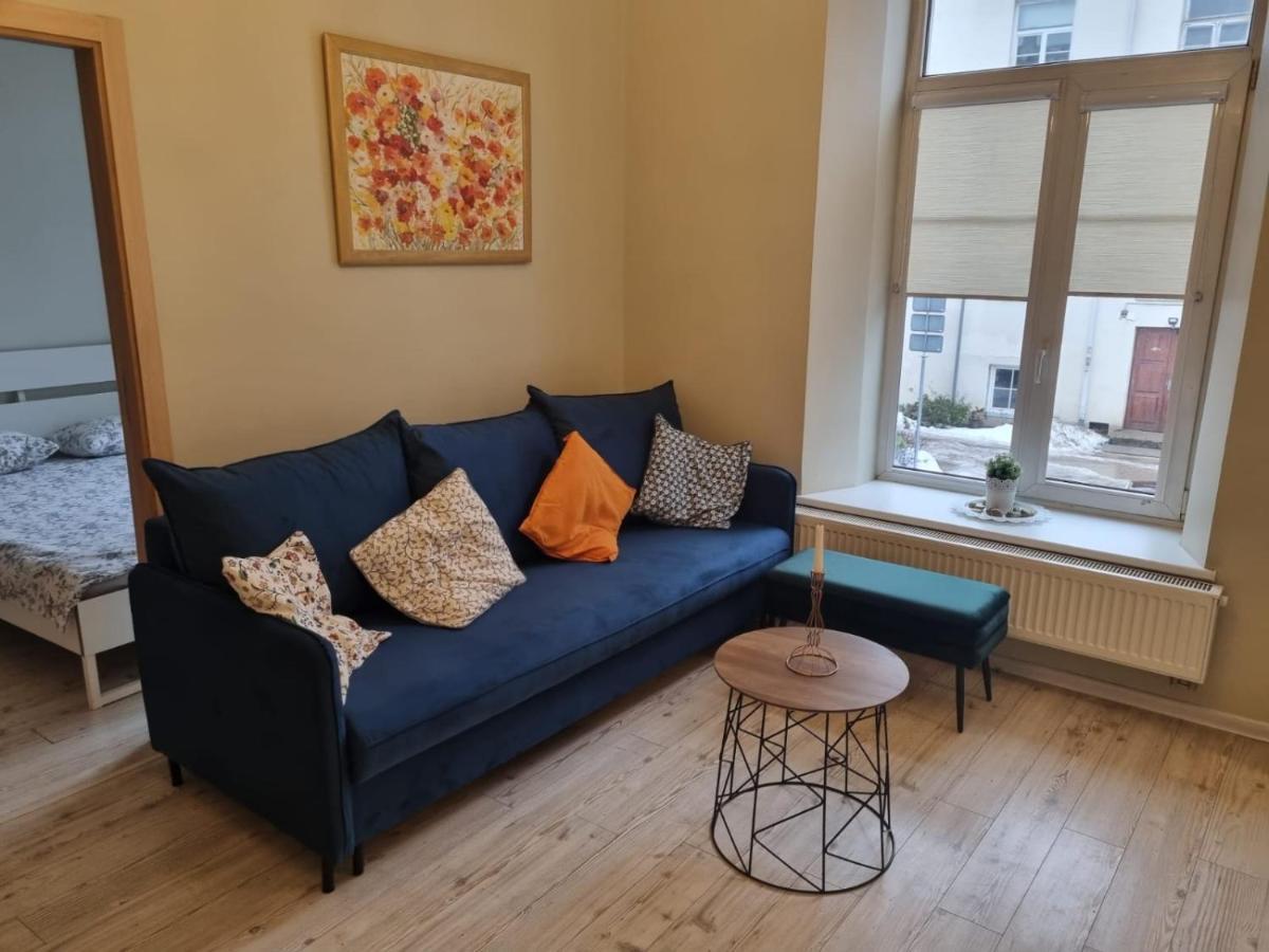 Igo Apartment Uzupis Аеропорт Вільнюс Екстер'єр фото
